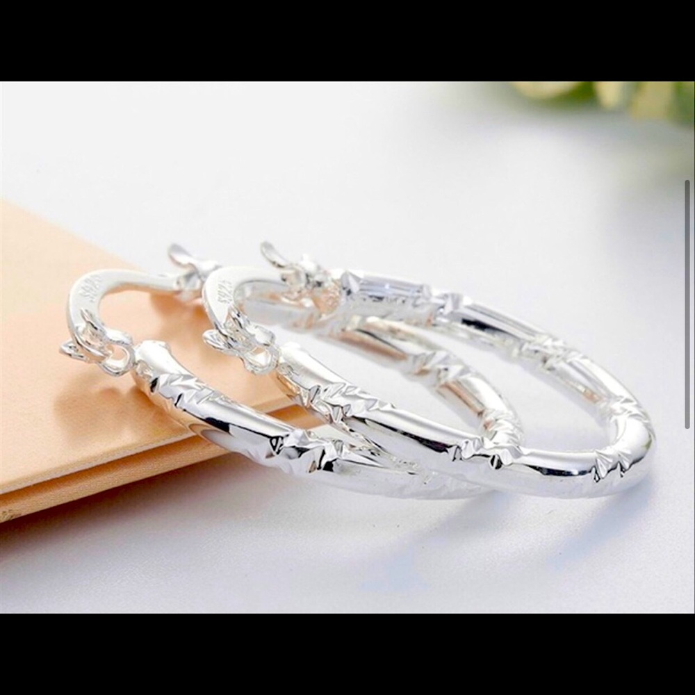 Elegant Silver Hoops